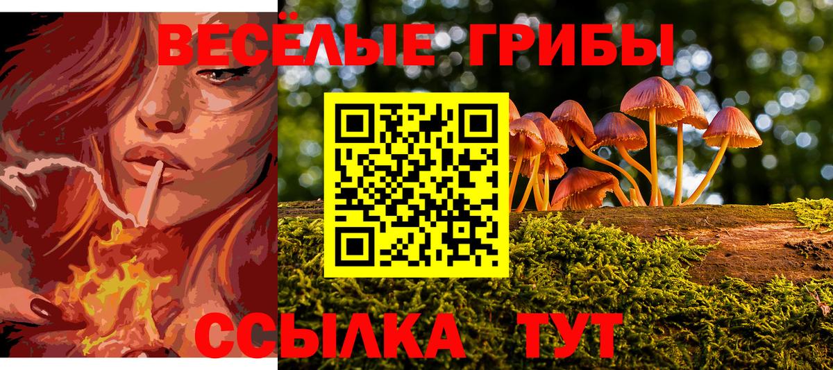Галлюциногенные грибы прущие грибы  Псилоцибиновые грибы прущие грибы  Верхняя Салда  Вход с VPN 
